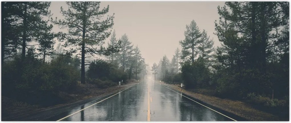 Tablou - Drum în ploaie (120x50 cm)