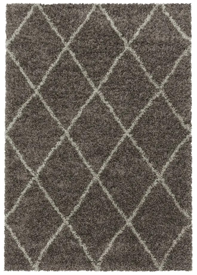 Covor maro 160x230 cm Alvor – Ayyildiz Carpets