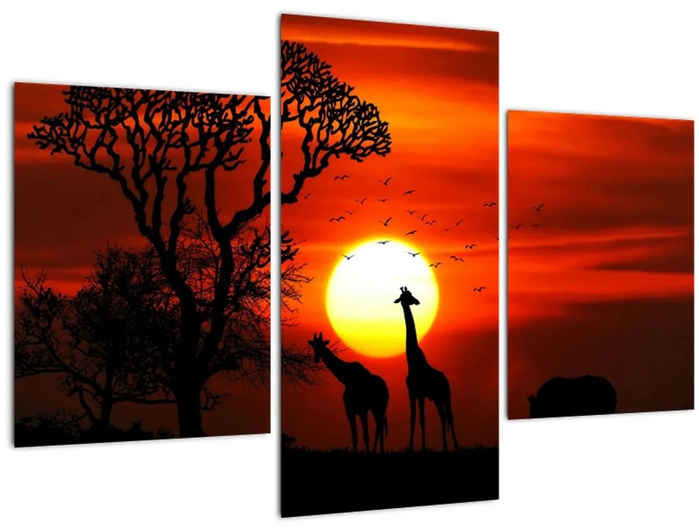 Tablou - Siluete animalelor la apus de soare (90x60 cm)