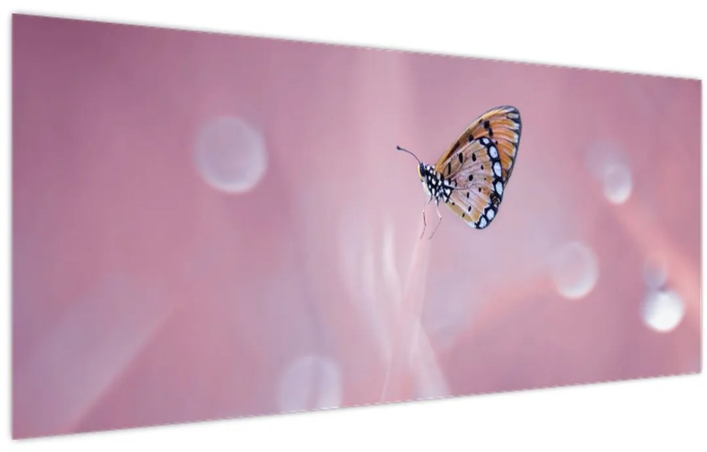 Tablou - Fluture (120x50 cm)