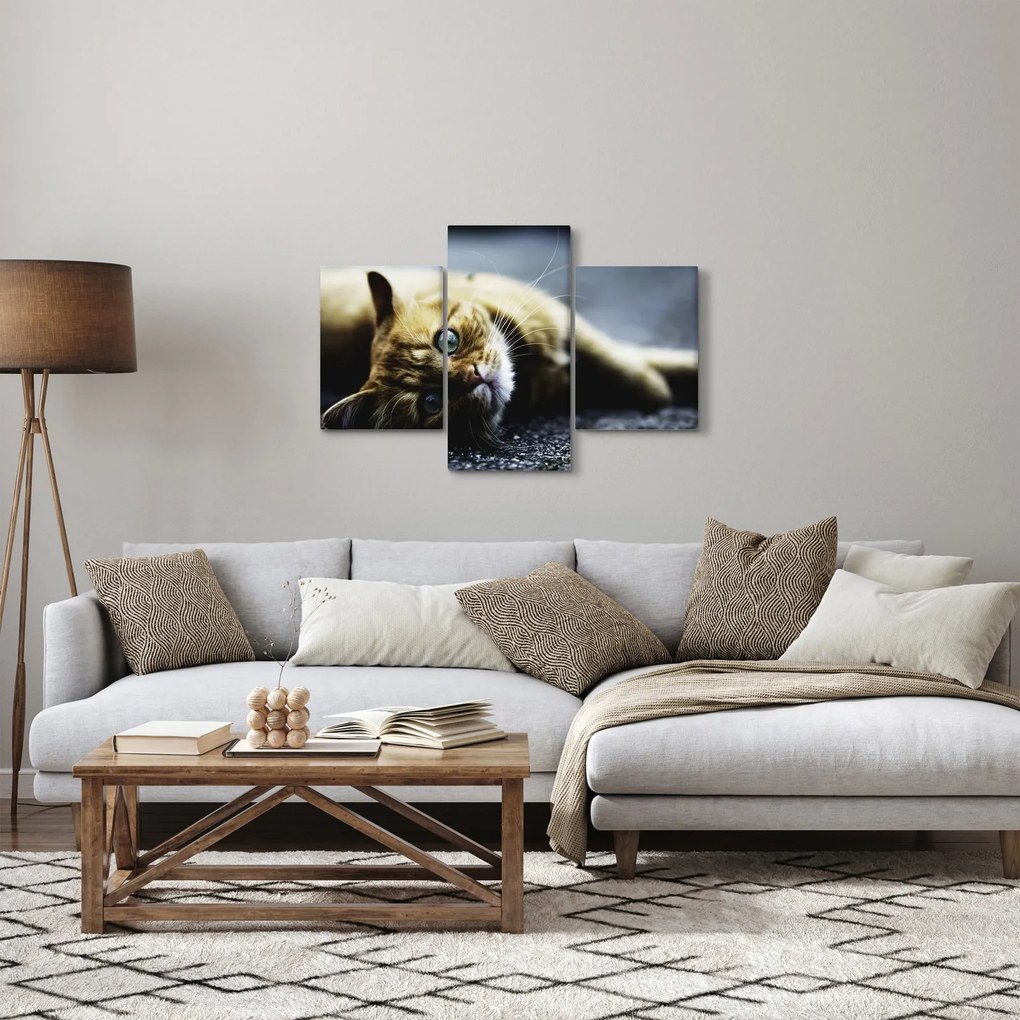 Tablou cu pisica (90x60 cm)