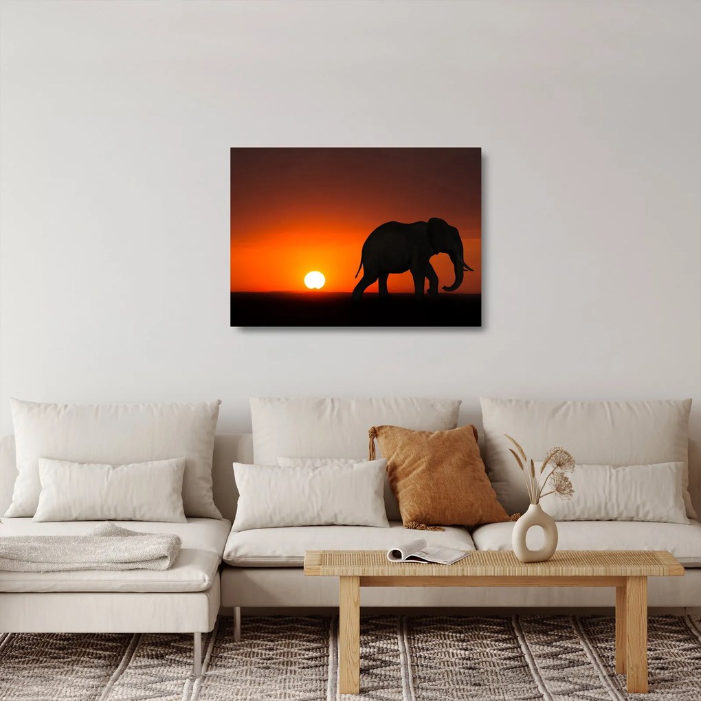 Tablou pe sticlă cu elefant în apus de soare (70x50 cm)