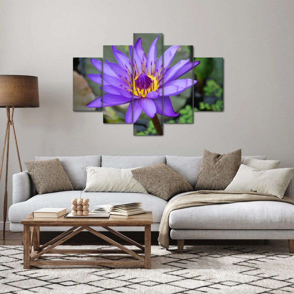 Tablou - Floare violet (150x105 cm)