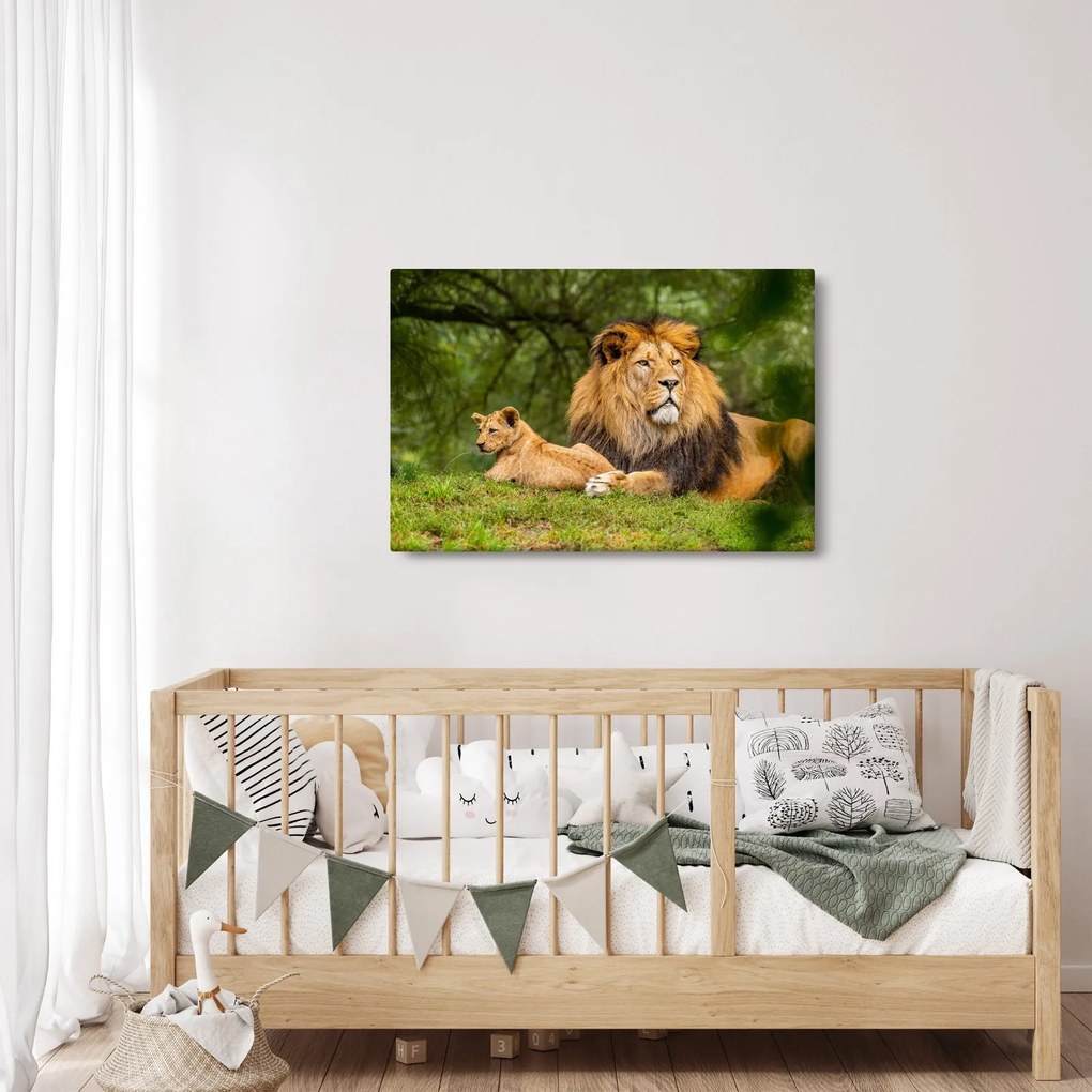 Tablou cu lei (90x60 cm)