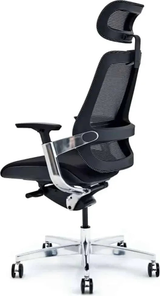 Scaun lemn masiv de birou ErgoElite Design Modern Negru