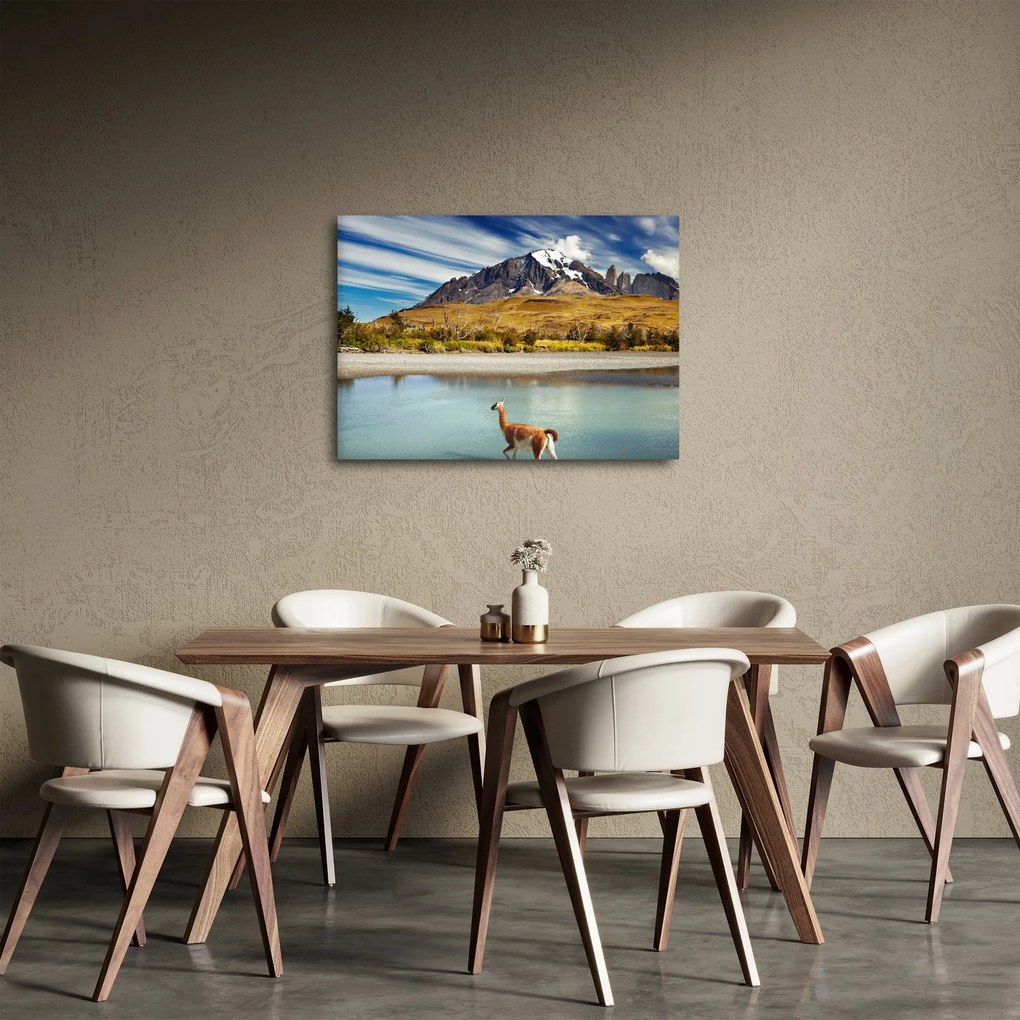 Tablou - Parcul Național Torres del Paine (70x50 cm)