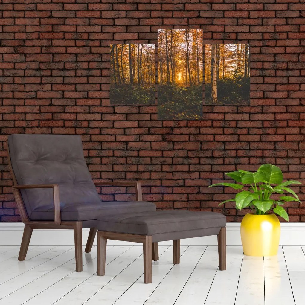 Tablou - Pădurea toamna (90x60 cm)