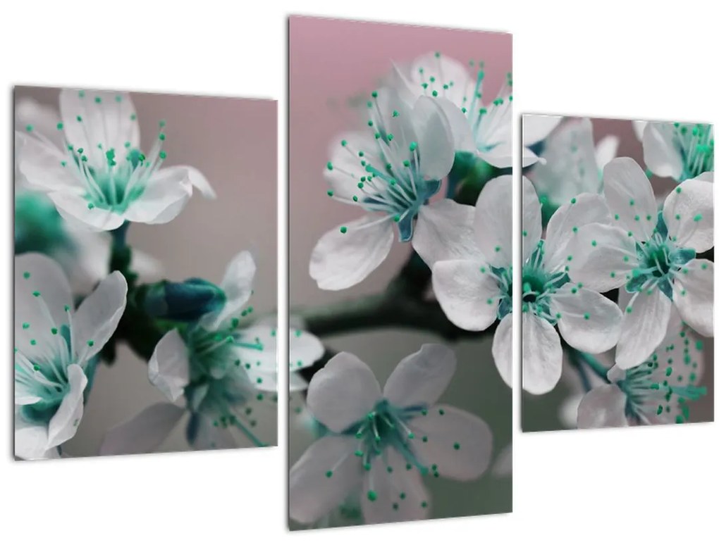 Tablou cu floare - turcoaz (90x60 cm)