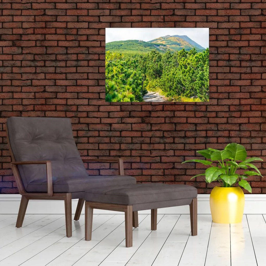 Tablou - Babi Hora, Polonia (70x50 cm)