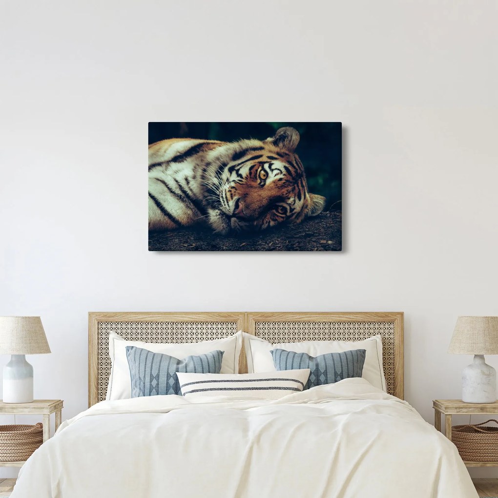 Tablou - Tigrul Siberian (90x60 cm)