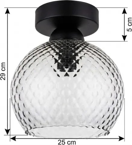 BRILAGI - Plafonieră LED R GLASS 1xE27/60W/230V Ø 25 cm negru/gri fumuriu