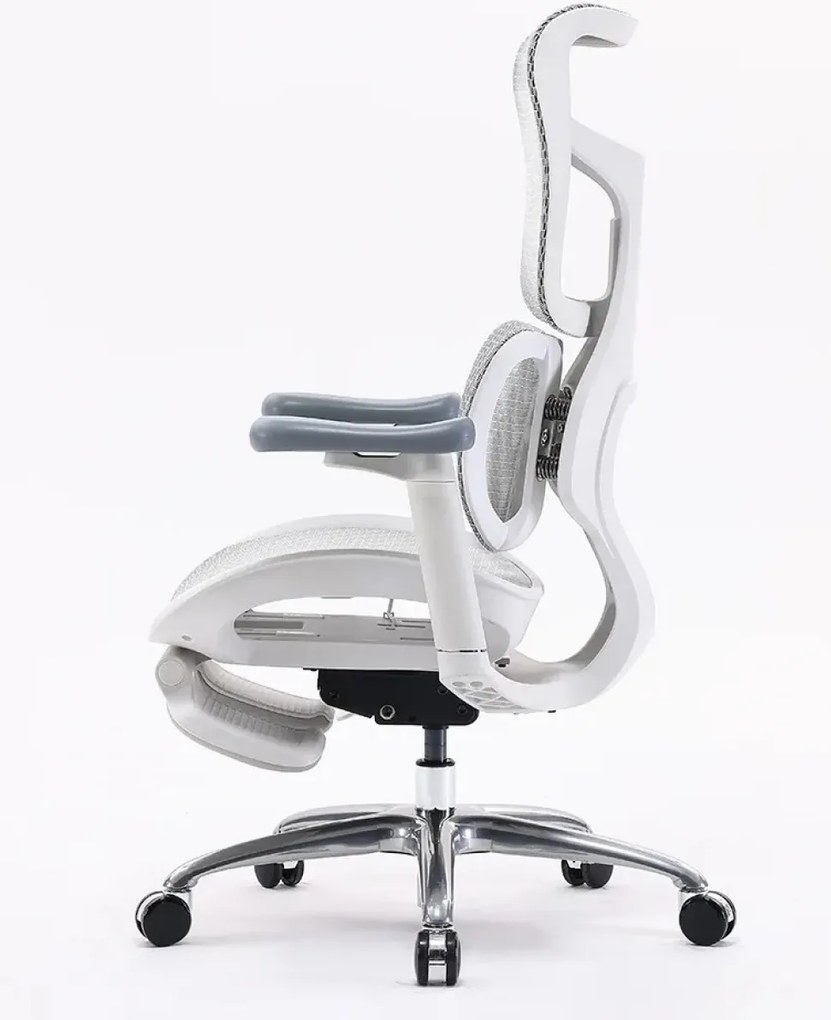 Scaun ergonomic SIHOO S100, cotiere 4D ultra moi, suport lombar adaptiv, spătar reglabil pe inaltime, sezut cu translatie, mecanism multifunctional inclinare/blocare, suport picioare Dual, pivotant, Mesh, Gri