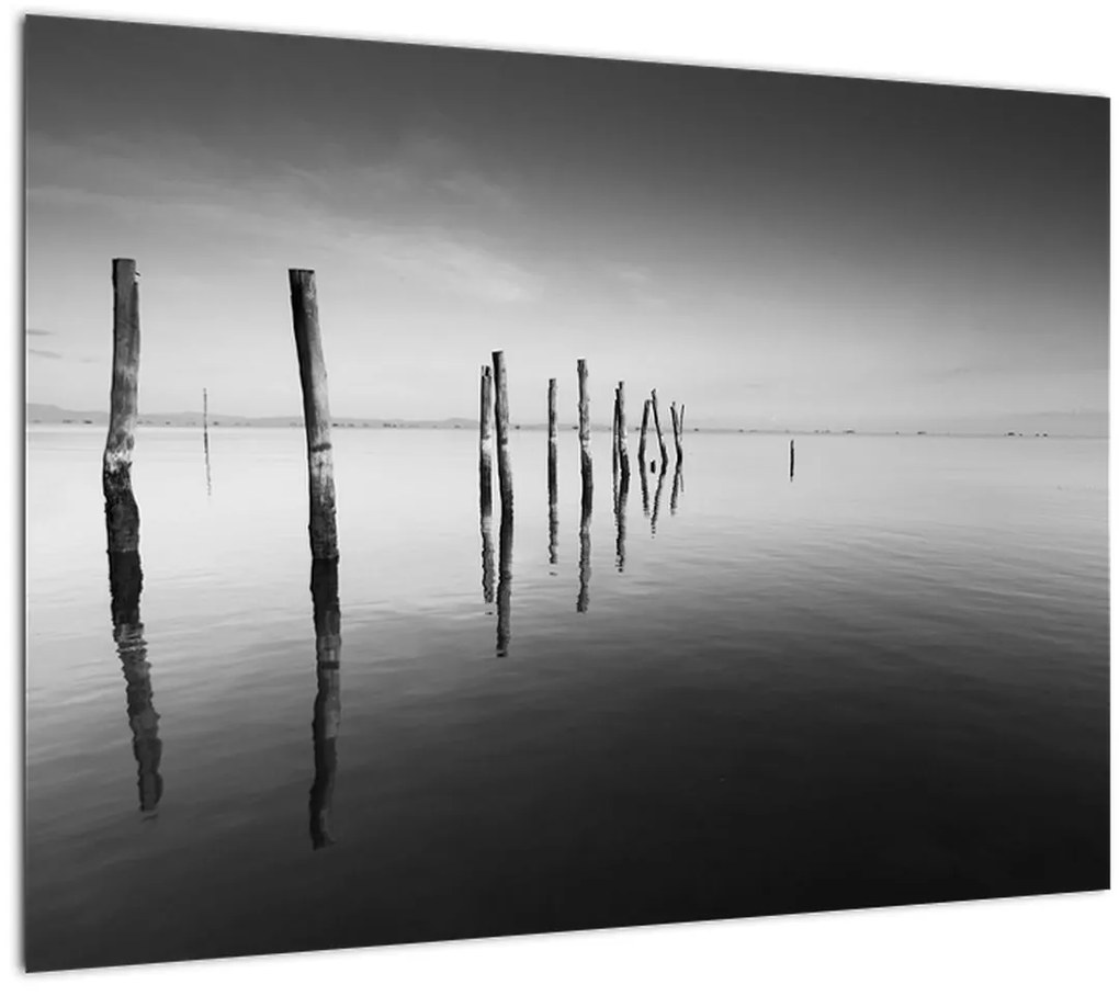 Tablou cu nivelul de lac alb negru (70x50 cm)