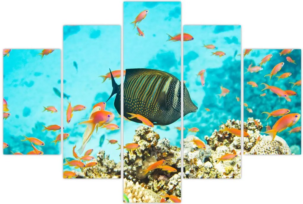 Tablou lumii submarine (150x105 cm)