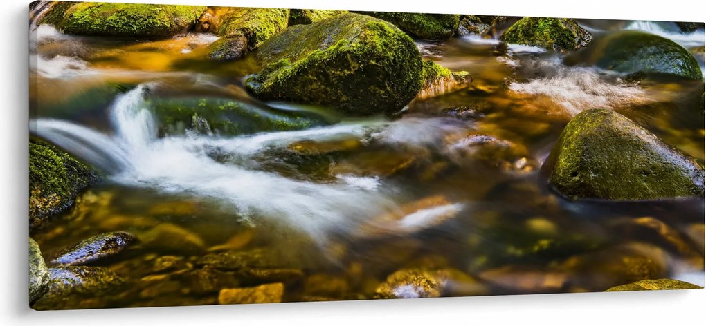 Tablou cu părâu (120x50 cm)