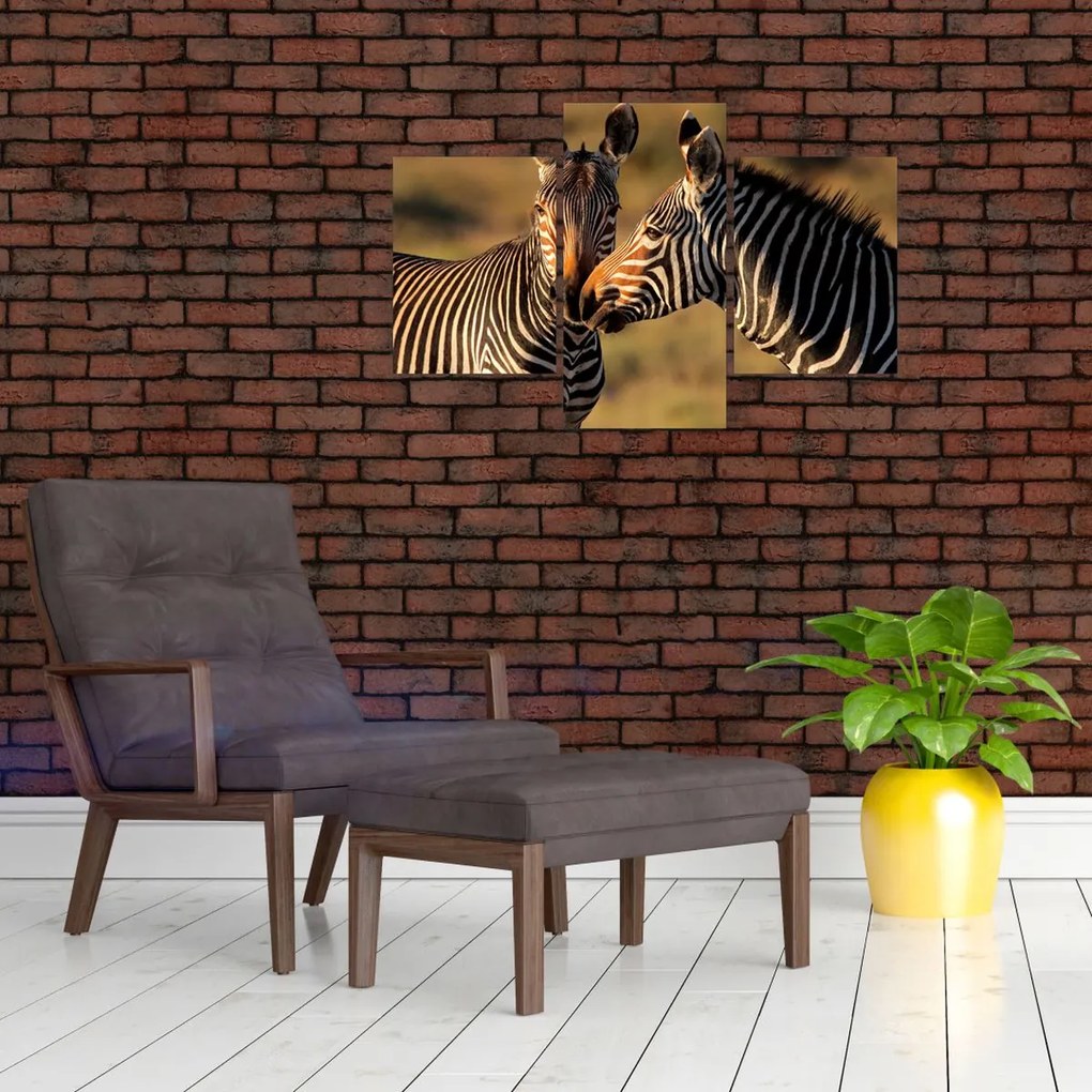 Tablou - Două zebre (90x60 cm)