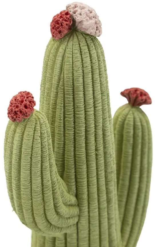 Mauro Ferretti Cactus Decorativ Cm 13X7X23 | Aosom Romania