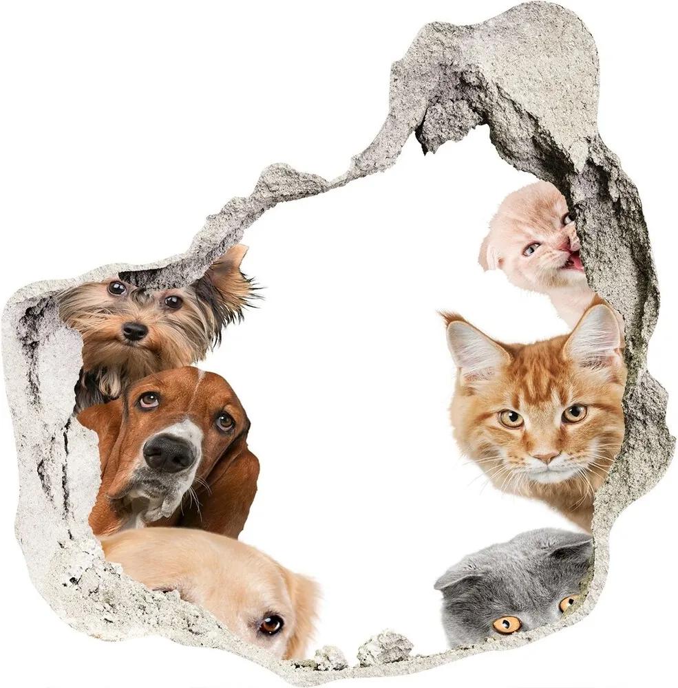 Autocolant autoadeziv gaură Câini și pisici