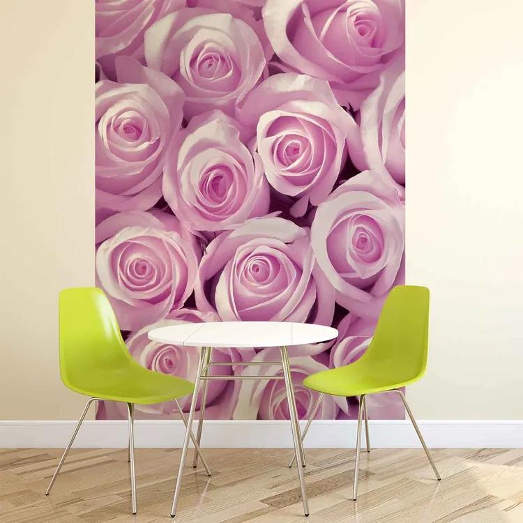 Pink Roses Fototapet, (91 x 211 cm)