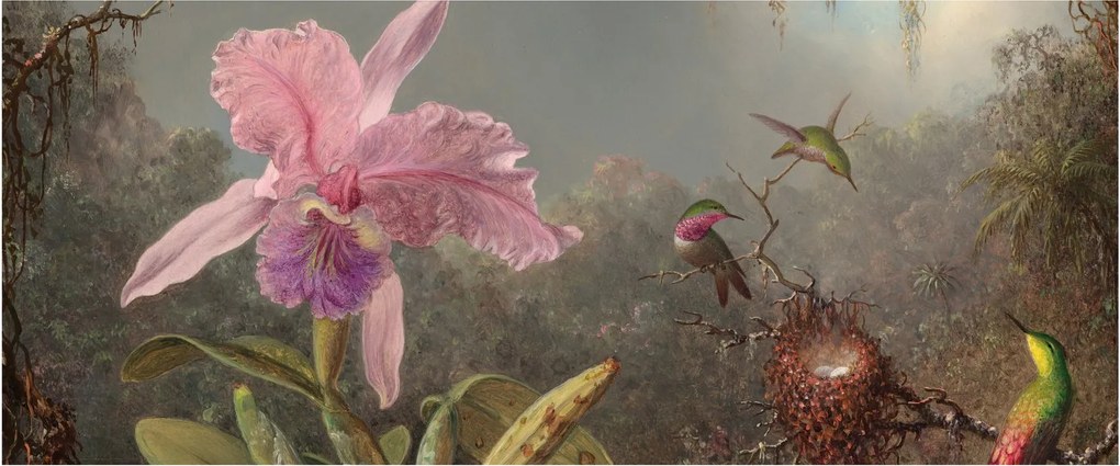 Tablou - Martin Johnson Heade, Cattleya Orchid and Three Hummingbirds, reproducere (120x50 cm)