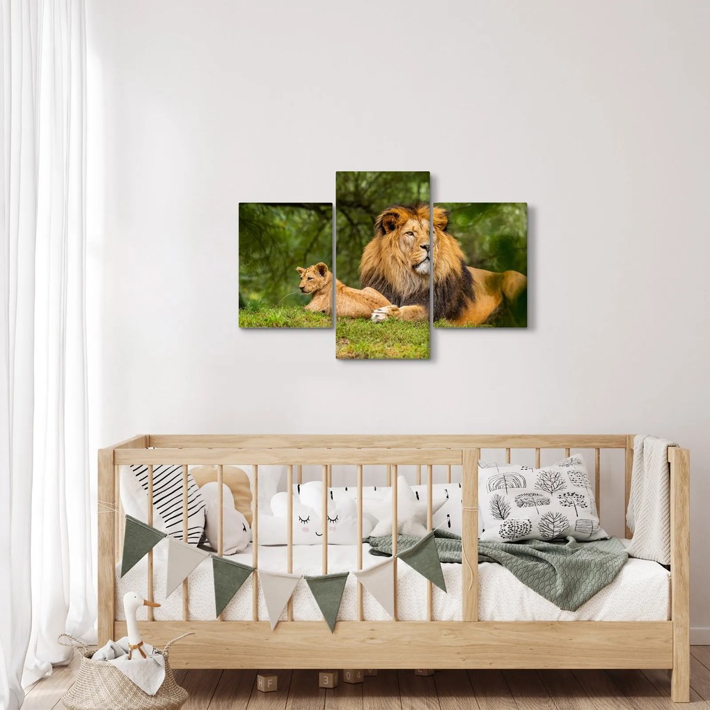 Tablou cu lei (90x60 cm)