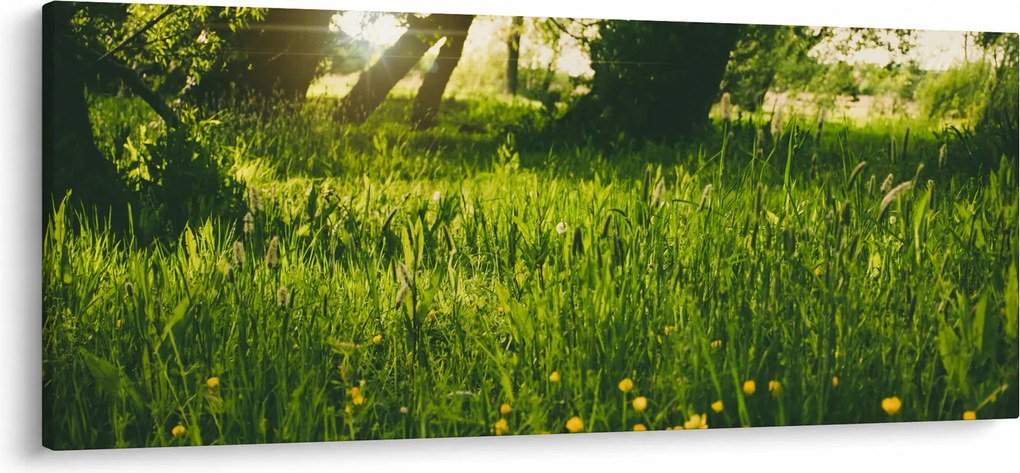 Tablou cu natura - lunca (120x50 cm)