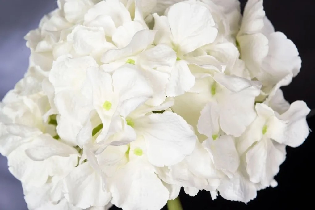 Aranjament floral mic decor festiv design LUX CUBO HYDRANGEA WHITE