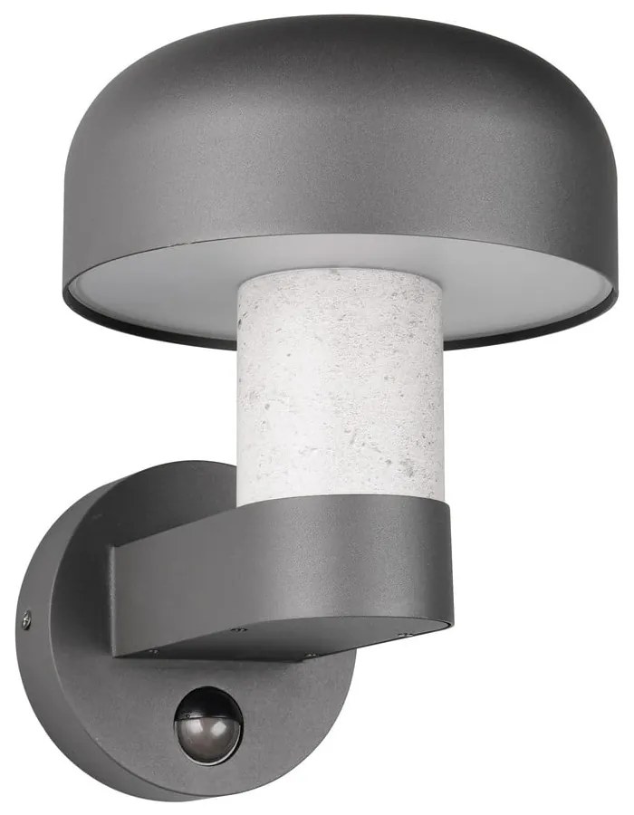 Corp de iluminat pentru exterior, de perete (înălțime 24,5 cm) Fraser – Trio