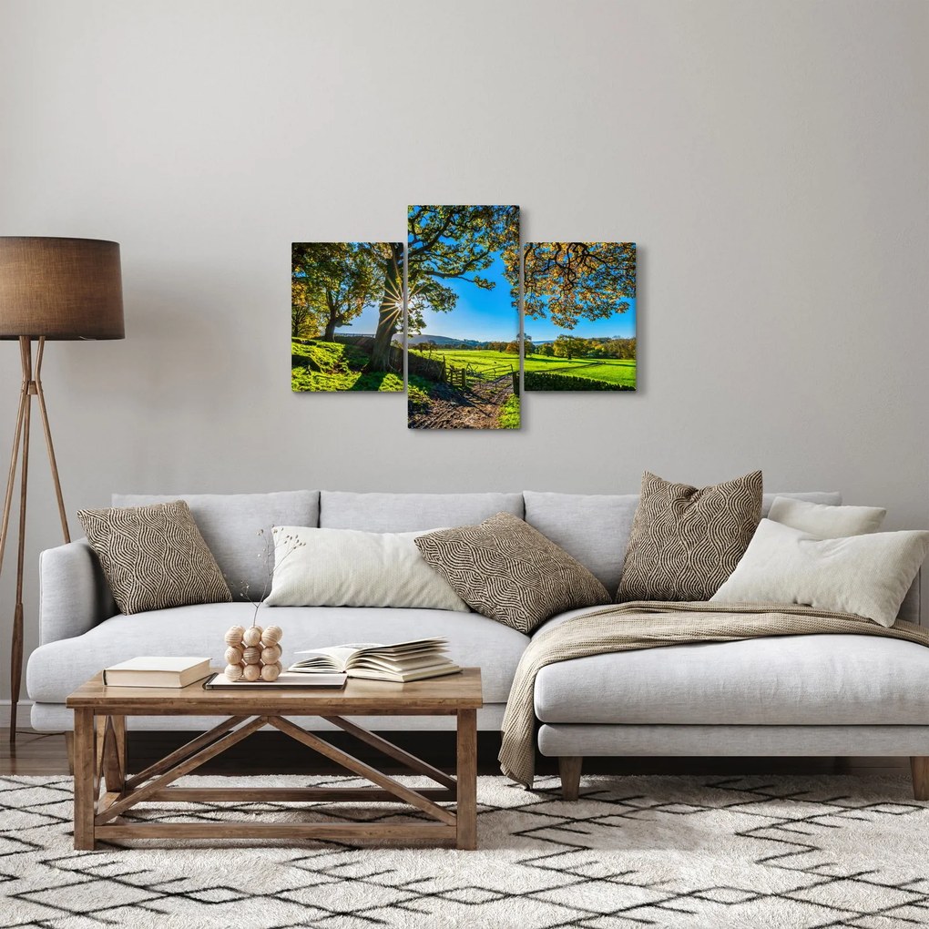 Tablou Privire la câmp (90x60 cm)