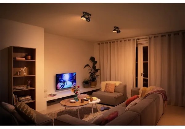 Spot LED dimabil BUKKO 2xLED/4,5W/230V Philips 50602/30/P0