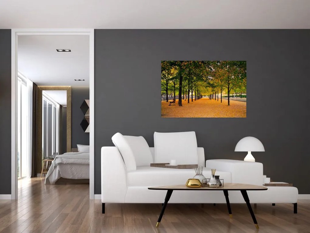 Tablou cu alee cu copaci în toamnă (90x60 cm)
