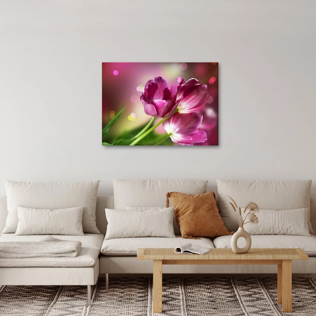Tablou cu lalele roz (70x50 cm)