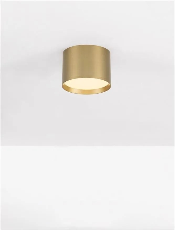 Spot LED aplicat diametru 12cm ZIAZA auriu, NVL-9695168