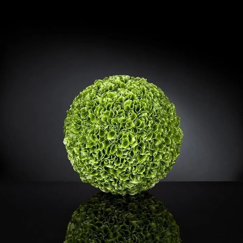 Aranjament floral elegant in forma de sfera, MOLUCELLA BIG 1141291.60