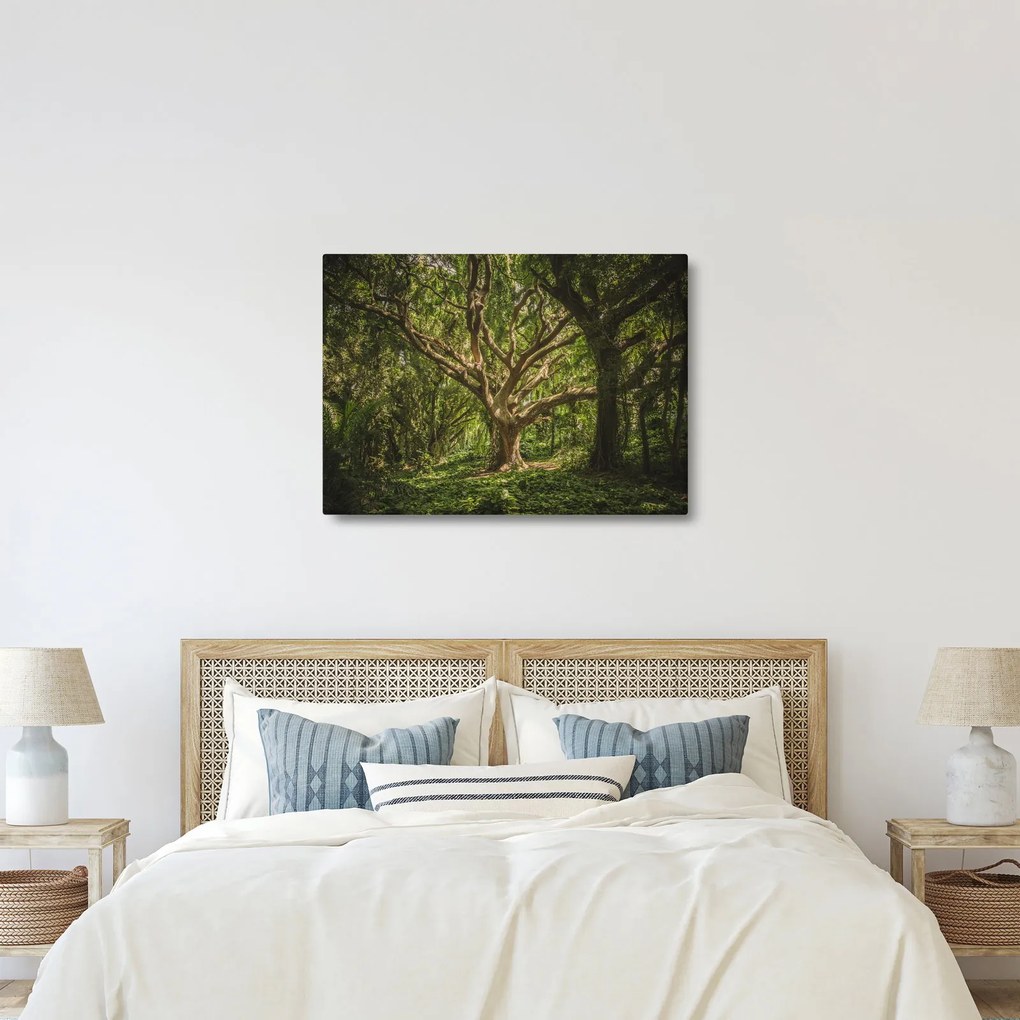 Tablou cu copaci (70x50 cm)
