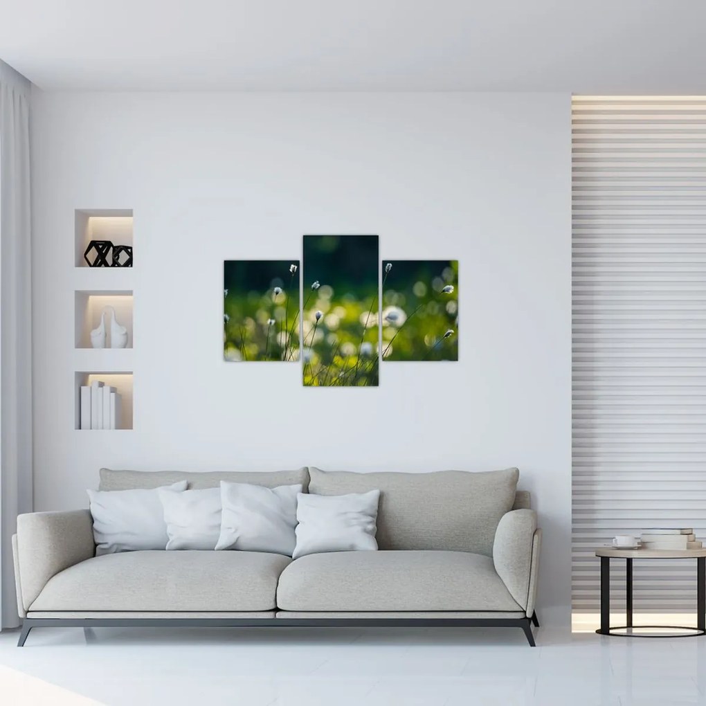Tablou - Iarbă (90x60 cm)