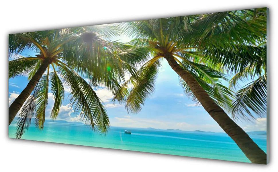 Tablouri acrilice Palm Sea peisaj copac Maro Verde Albastru