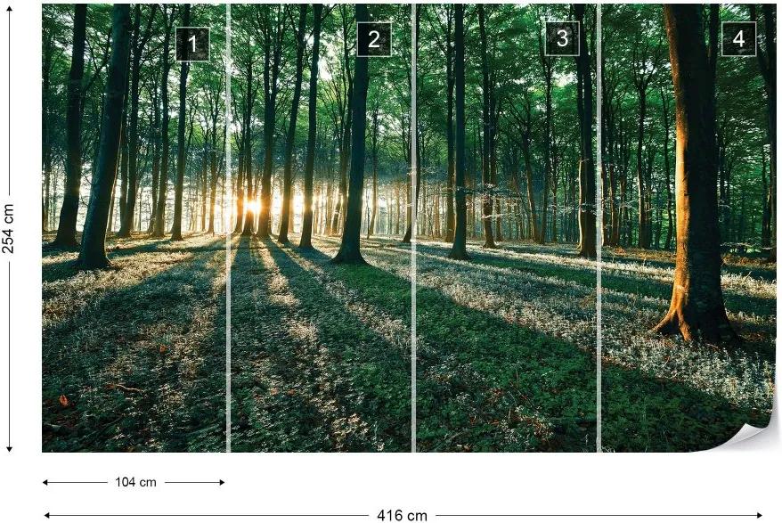 Fototapet GLIX - Forest Landscape Green Light + adeziv GRATUIT Tapet nețesute - 416x254 cm