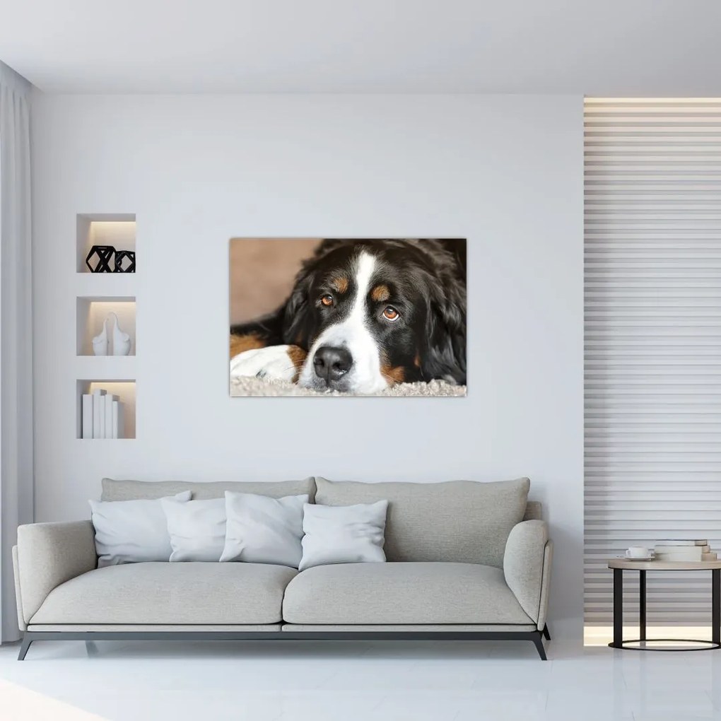 Tablou cu câine (90x60 cm)