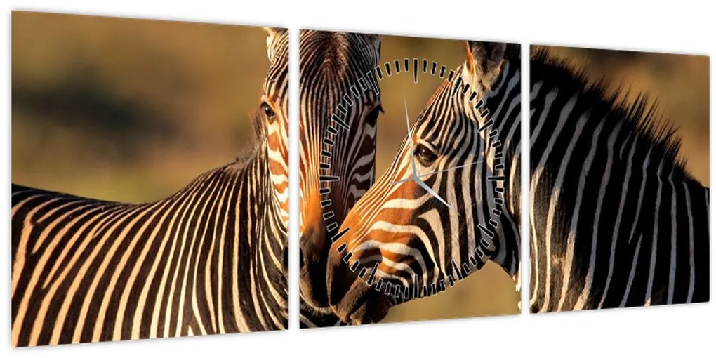 Tablou - Două zebre (cu ceas) (90x30 cm)