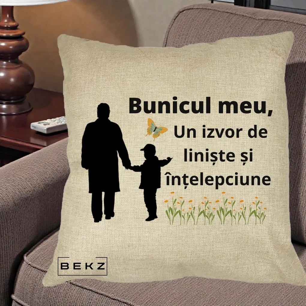 Cadou pentru Bunic - Perna Personalizata Bunicul Meu Izvor de Liniste cu Fluture si Baietel, 40x40 cm, Crem, Husa Detasabila, Perna Inclusa, BEKZ®