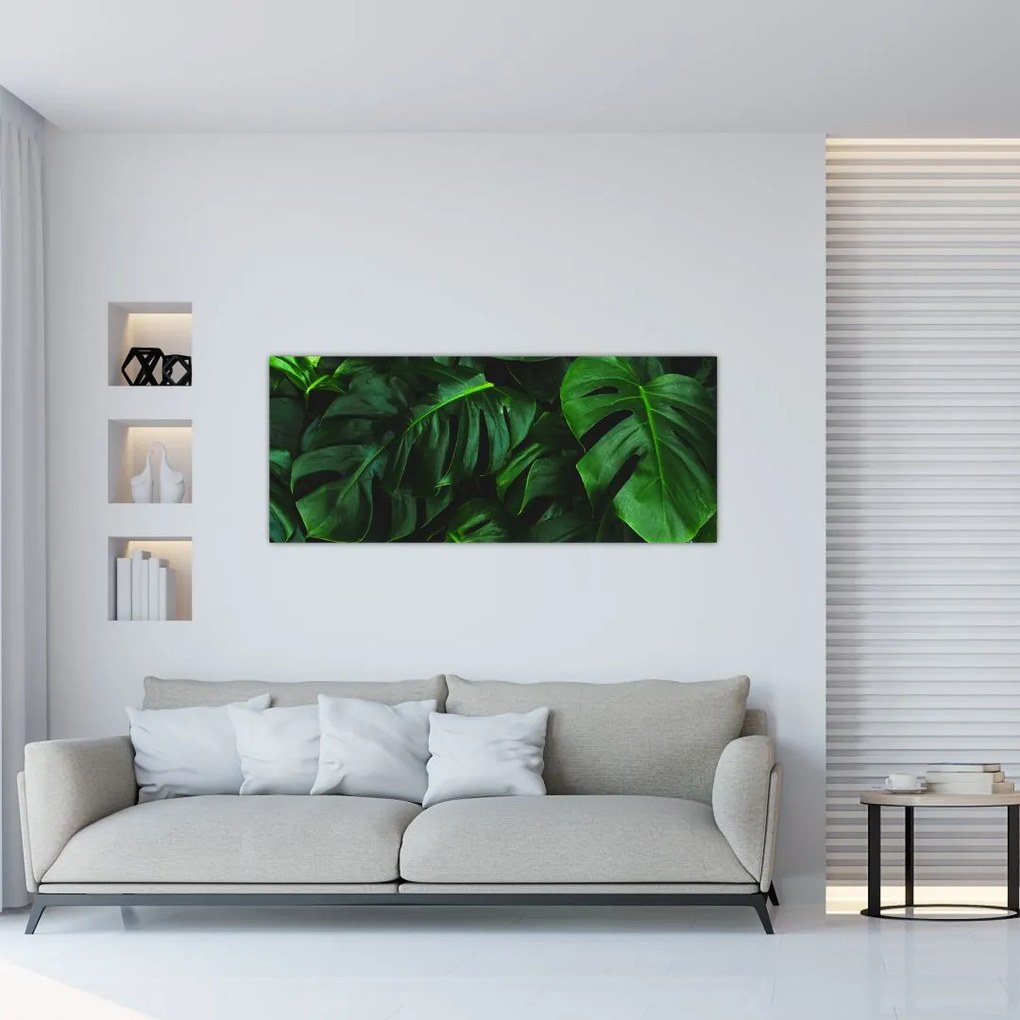 Tablou cu frunze Monstery (120x50 cm)