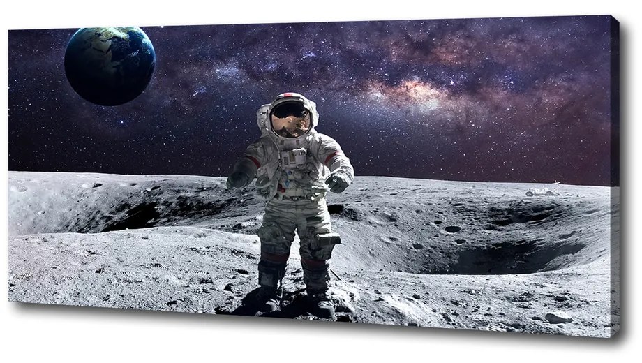 Tablou pe pânză Astronaut
