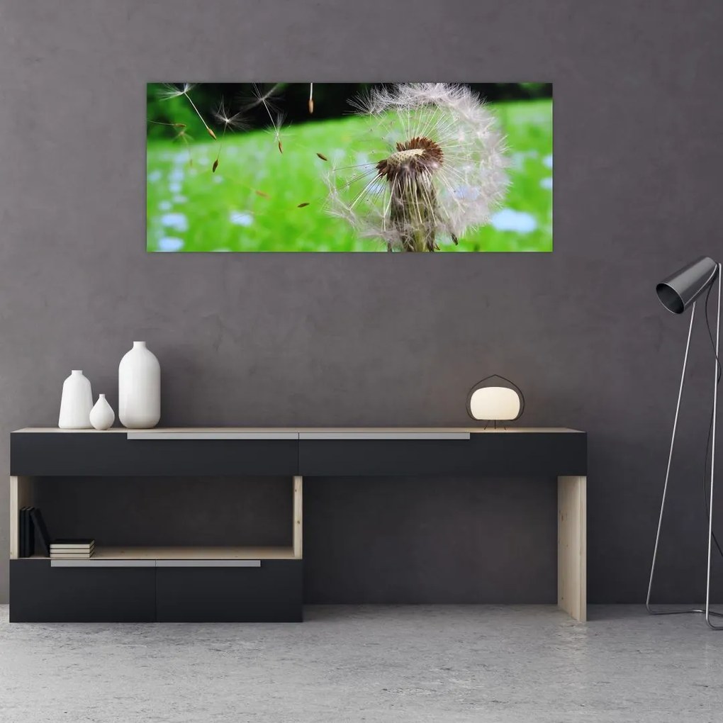 Tablou cu păpădie (120x50 cm)