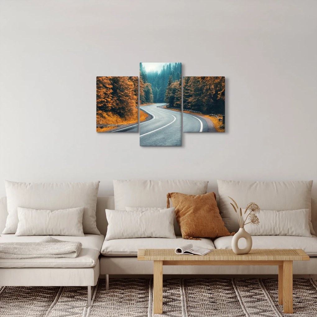 Tablou - Drumul cu serpentine (90x60 cm)
