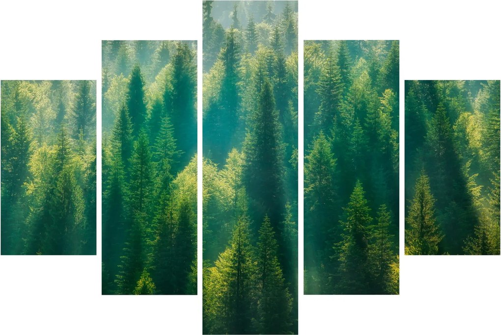 Tablou - Pădurea de brazi (150x105 cm)