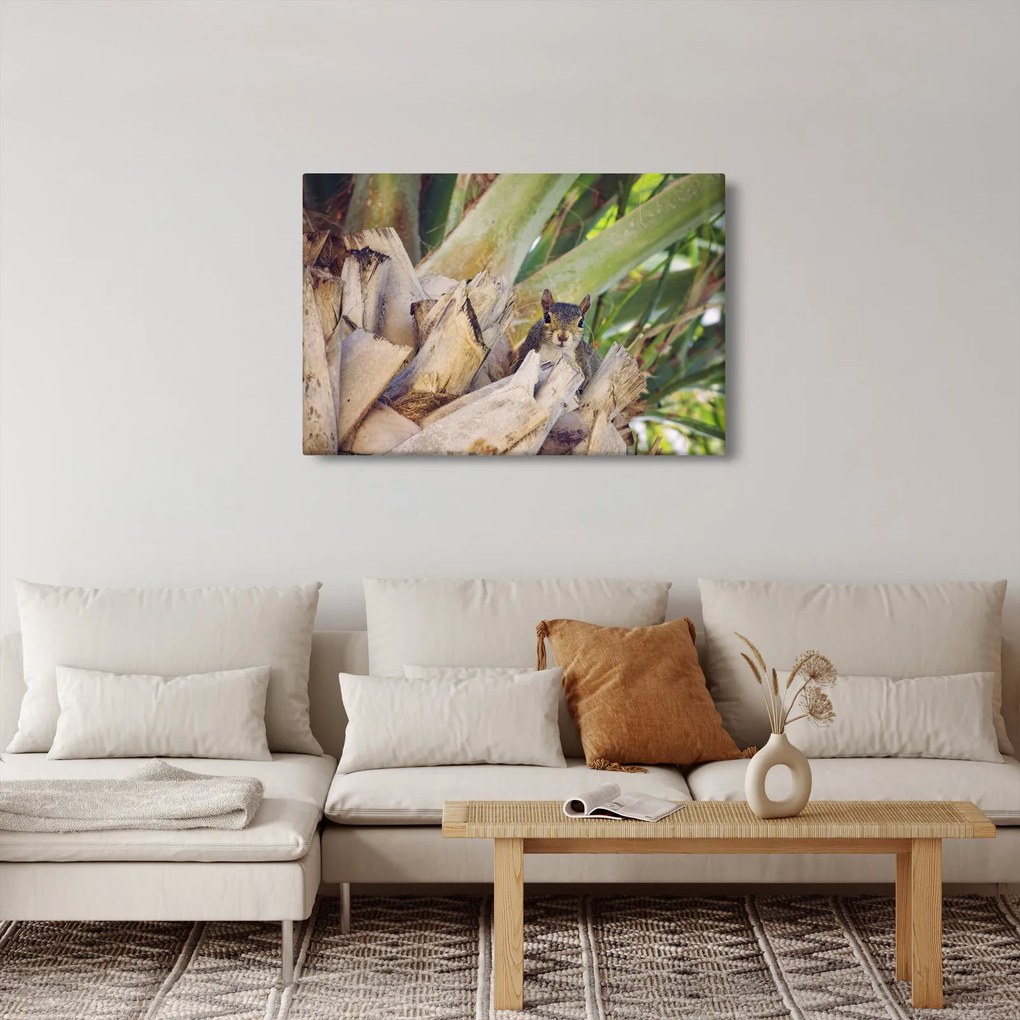 Tablou cu veverița în copaci (90x60 cm)