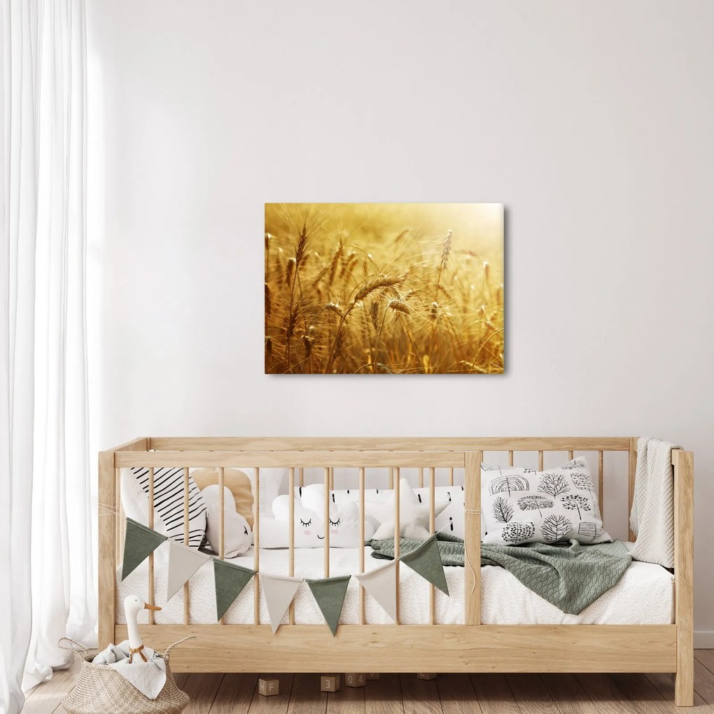 Tablou - Spice de cereale (70x50 cm)