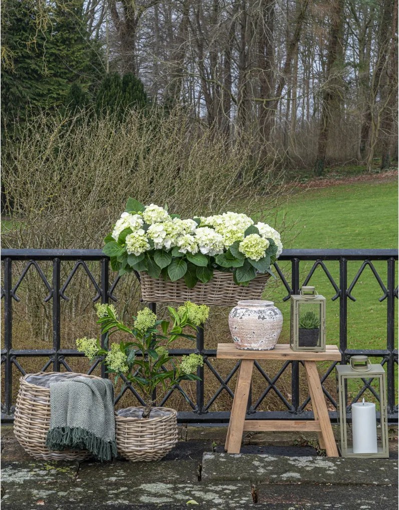 Felinare decorative Corfu, metal/vidră, verde, set de 2