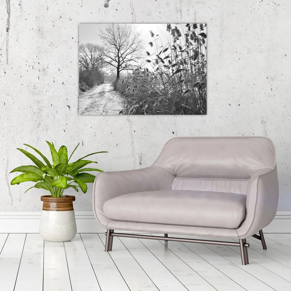 Tablou pe sticlă - Câmpuri în timpul iernii (70x50 cm)